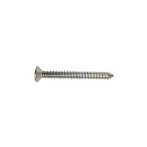 PAN SCREW S/S PHILLIP HD 50mmx12G