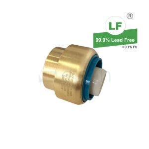 EPS LF PUSH-FIT NO.61 STOPPER LF DR BRASS 25mm