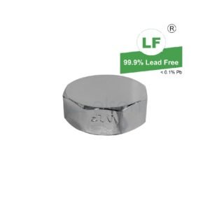 LF 3/4" CAP CP W/WASHER SUIT WM COCK