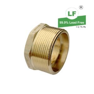 LF  LF BUSH LF DR BRASS R2 x Rp1 1/4(50mmMIx32mmFI)
