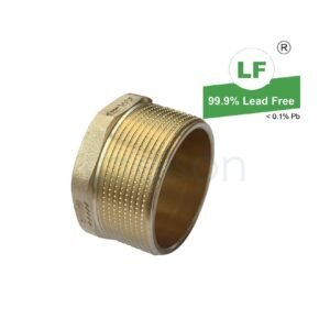 LF  LF PLUG LF DR BRASS R2(50mm)MI