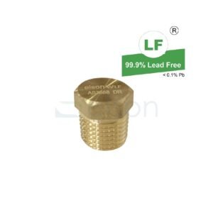 LF PLUG 6mm BRASS