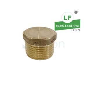 LF PLUG 20mm BRASS