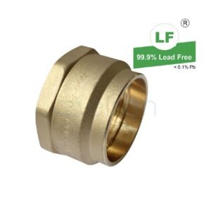 LF  LF BUSH TUBE FEMALE NO.4F LF DR BRS 50CSxRp2(50mmODx50mmFI) CAPILLARY