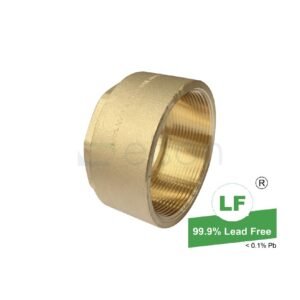 LF  LF BUSH TUBE FEMALE NO.4F LF DR BRS 65CSxRp2 1/2(65mm ODxFI)CAPILLARY