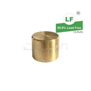 LF  LF STOP END NO.61 LF DR BRASS 20CS(20mmOD) CAPILLARY